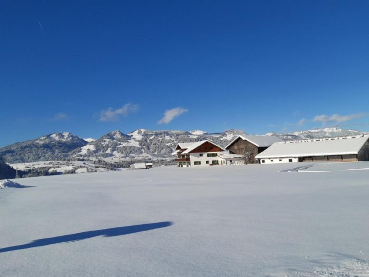 Hemerhof - Ferienwohnungen Оберстдорф Екстериор снимка