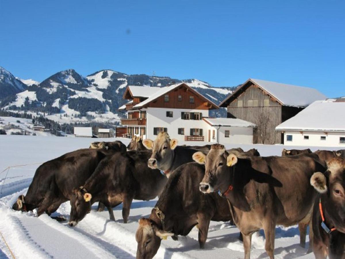 Hemerhof - Ferienwohnungen Оберстдорф Екстериор снимка