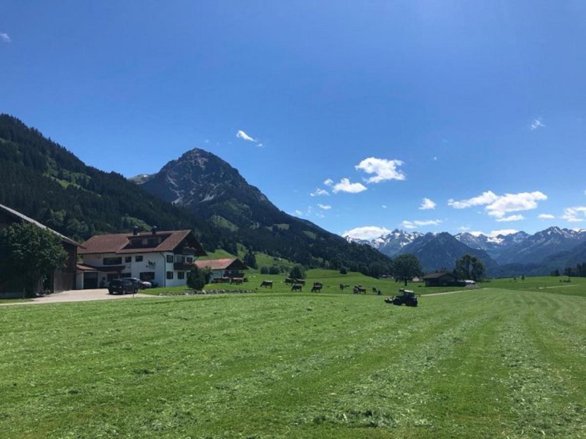 Hemerhof - Ferienwohnungen Оберстдорф Екстериор снимка
