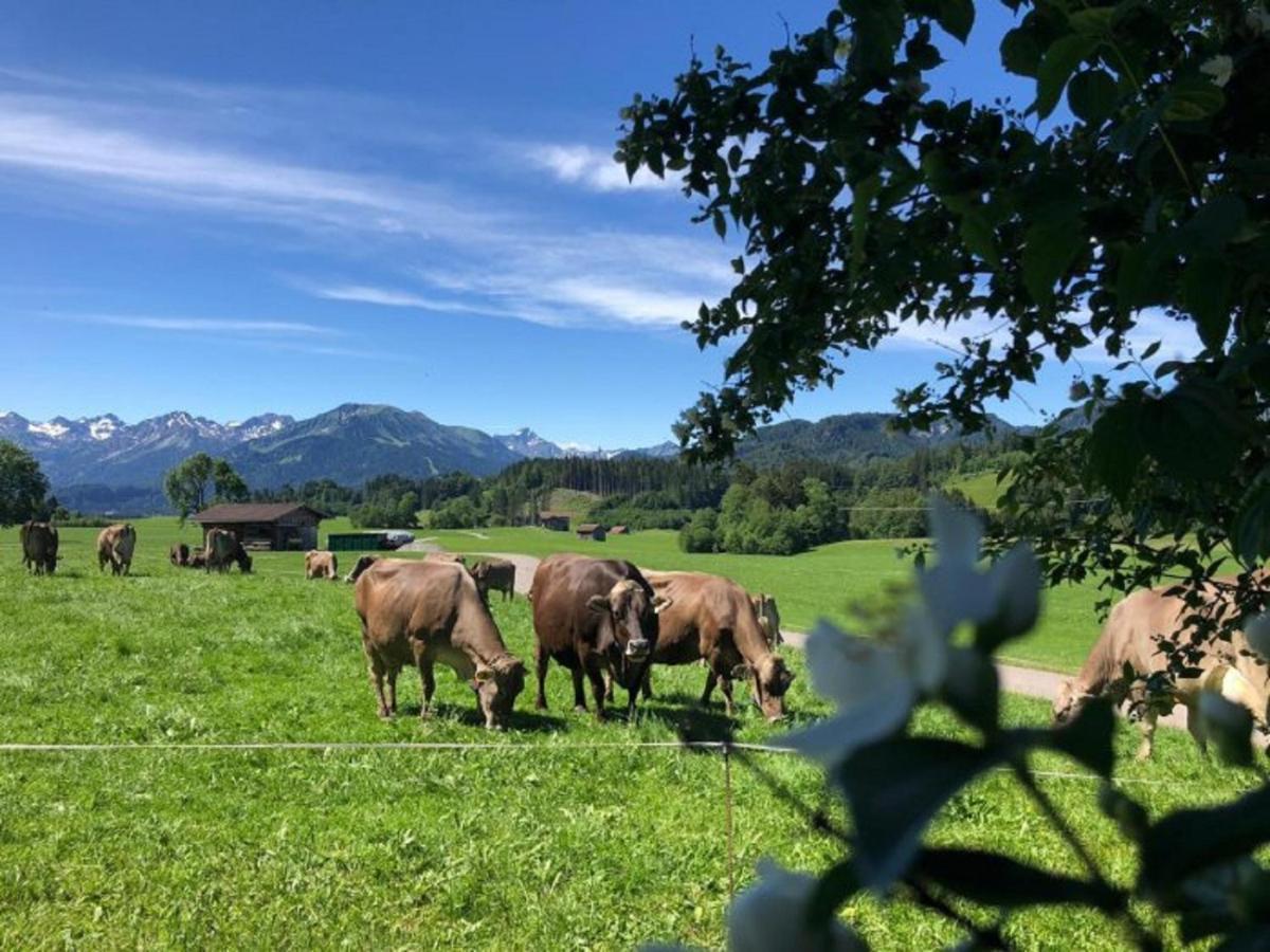 Hemerhof - Ferienwohnungen Оберстдорф Екстериор снимка