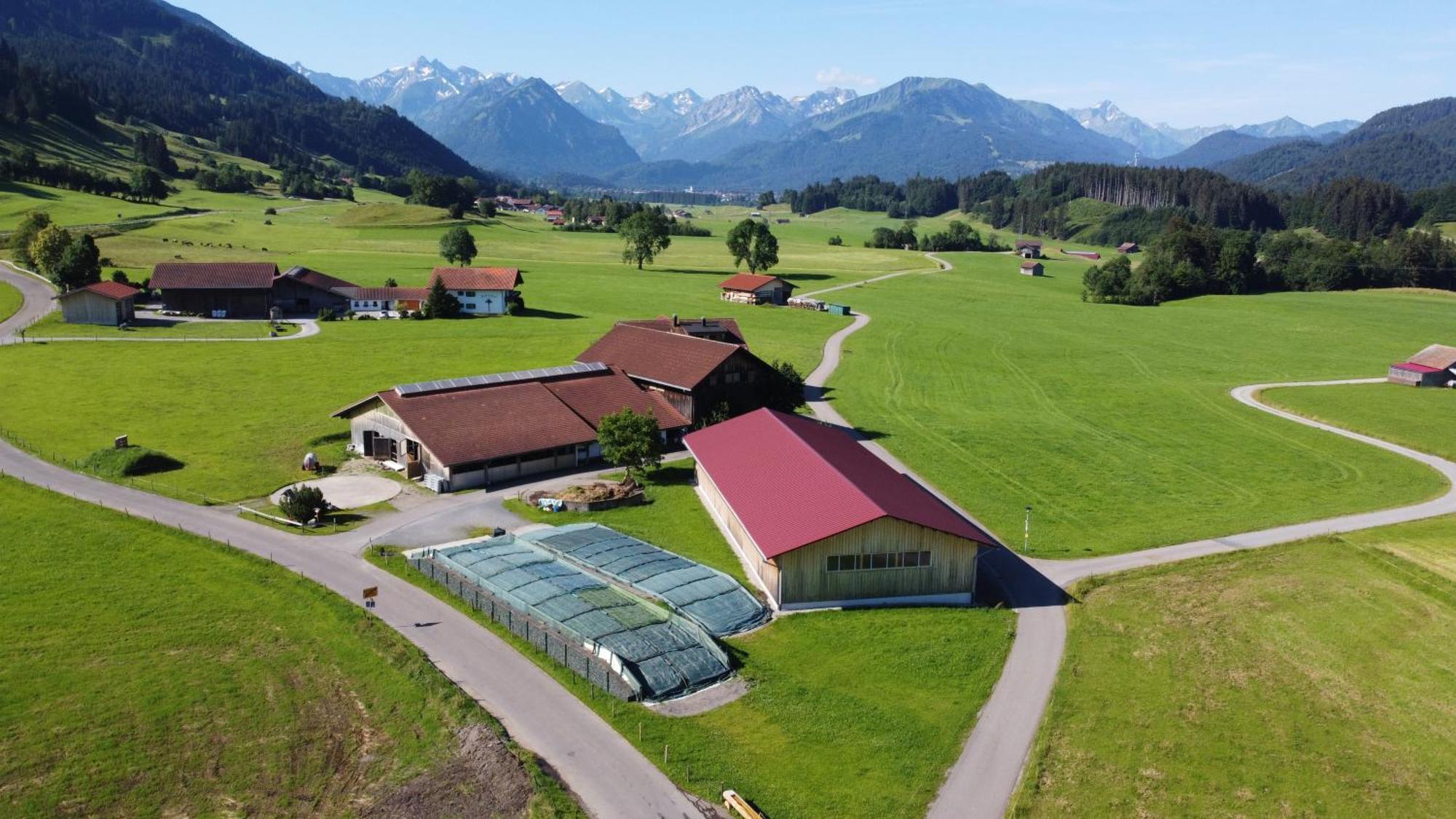 Hemerhof - Ferienwohnungen Оберстдорф Екстериор снимка